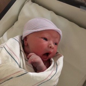 Team Page: Team Children's Council